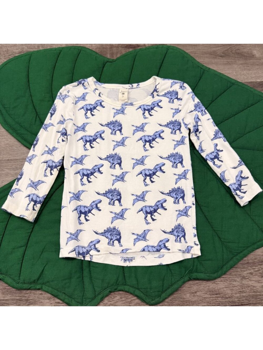Kate Quinn 2T Bamboo Dinosaur Long Sleeve Tee Tshirt